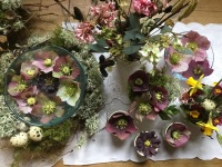 Collection of spring posies